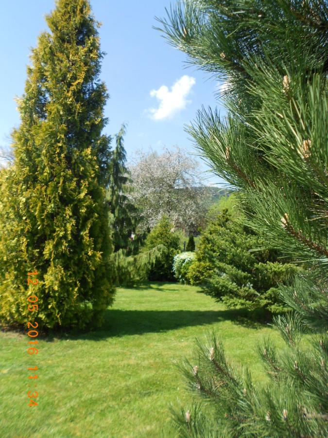 Agroturystyka Zielony Ogrod Scinawka Srednia Exteriér fotografie